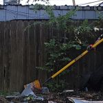 A person wearing a neon green face covering, gloves, and dark clothes uses a yellow rake for back yard cleanup, clearing debris near a wooden fence. for a property cleanout in Arlington