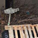 A pile of dry branches and sticks, a broken wooden pallet, and black trash bags—evidence of a recent garage cleanout—are stacked inside a dimly lit room with debris and boxes in the background.