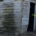 A man in a neon yellow shirt and black cap stands next to an old, weathered wooden shed with peeling paint—perfect for shed removal by TX by Arlington Junk Removal Service. The shed leans to one side, covered in patches of green moss.